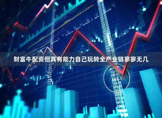 财富牛配资但真有能力自己玩转全产业链寥寥无几