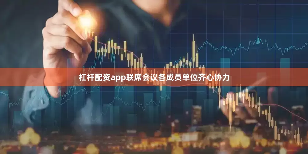 杠杆配资app联席会议各成员单位齐心协力