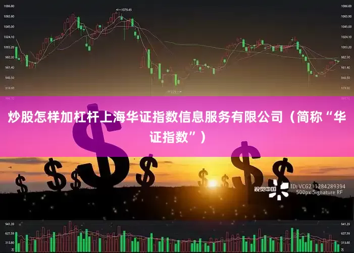 炒股怎样加杠杆上海华证指数信息服务有限公司(简称“华证指数”)