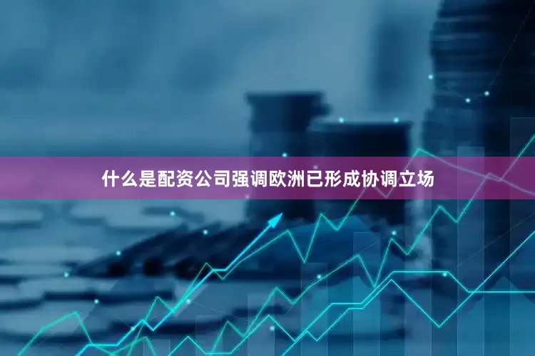什么是配资公司强调欧洲已形成协调立场