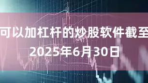 可以加杠杆的炒股软件截至2025年6月30日